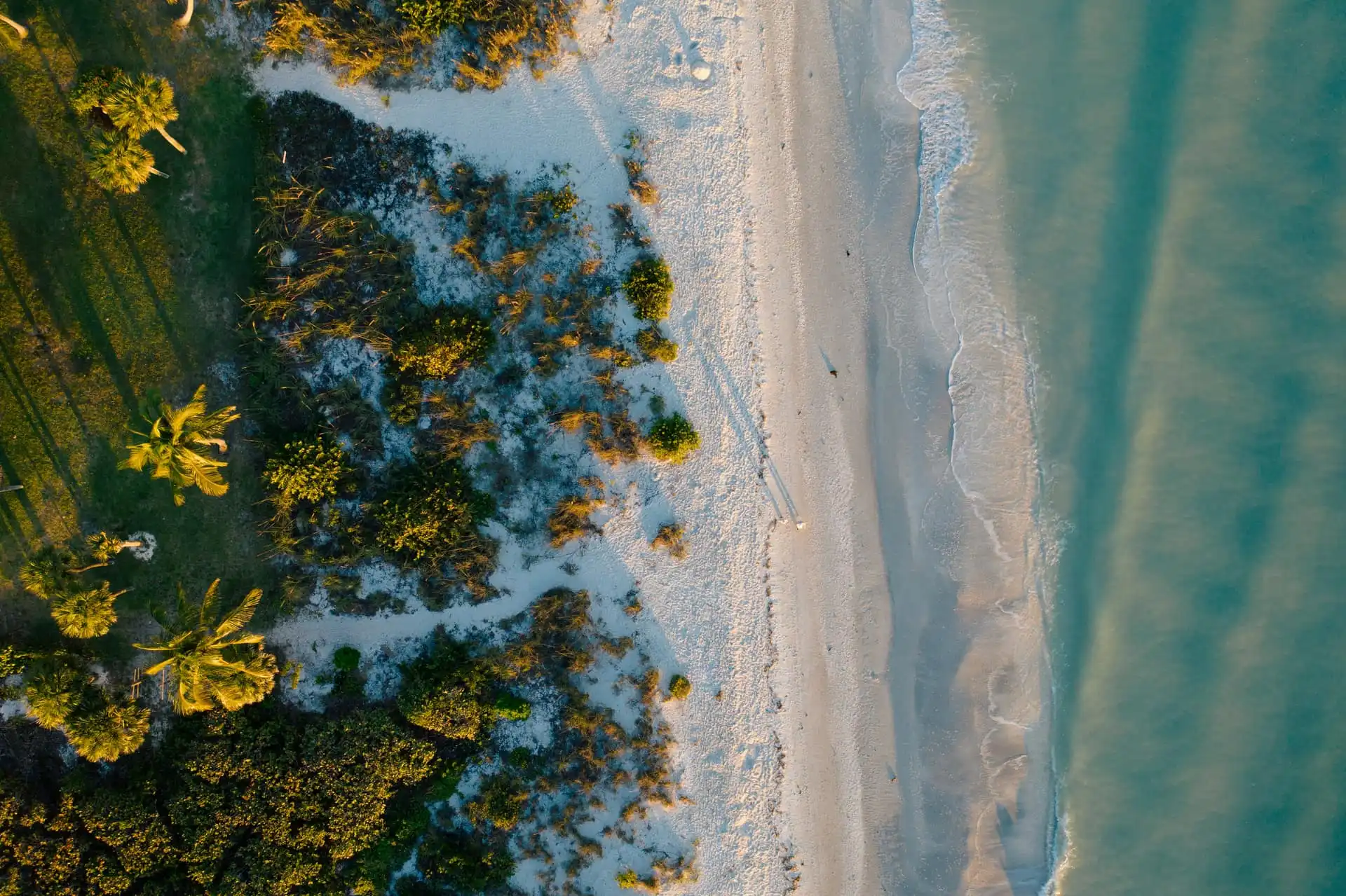 Fiber internet for Southwest Florida homes and communities