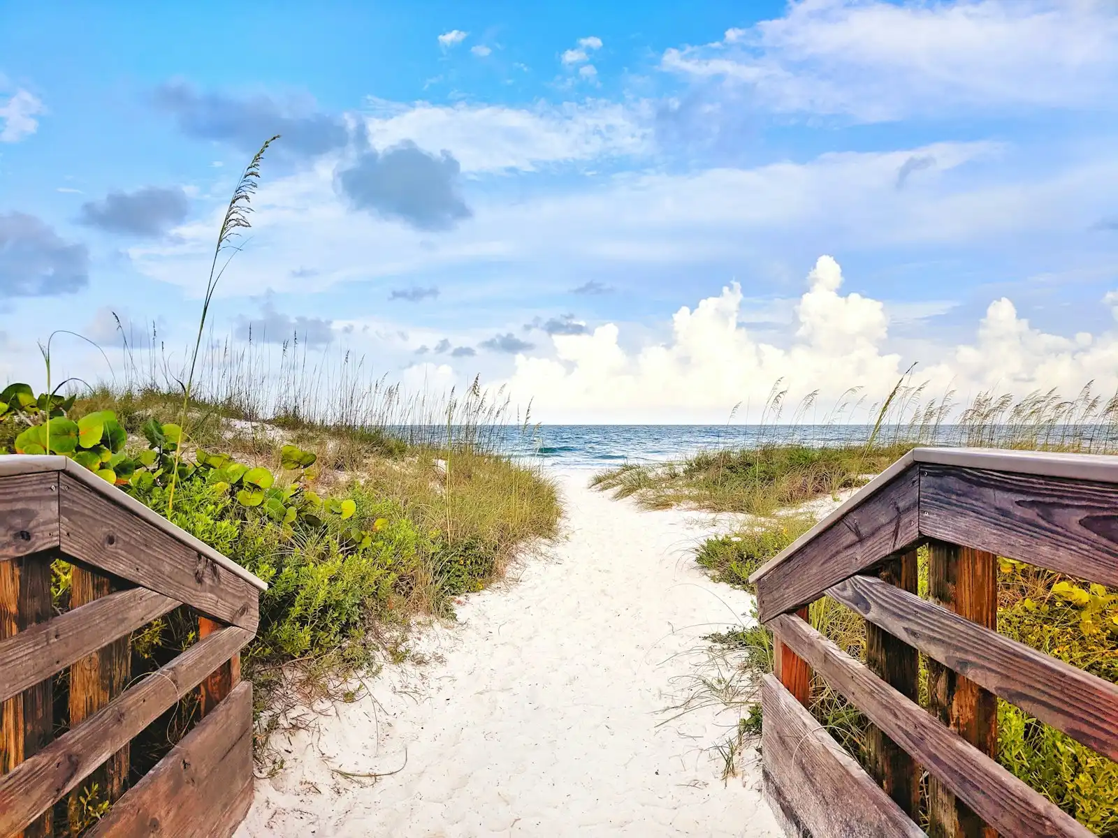 A bridge over the water in coastal Southwest Florida